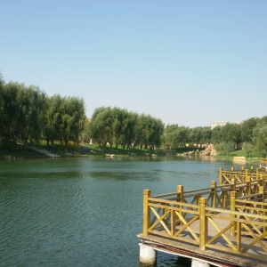 公園，是花園更似家園