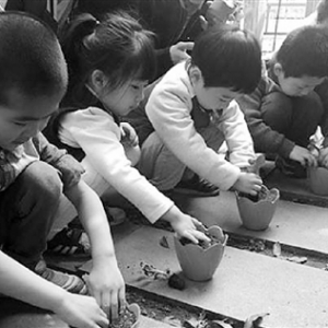 杭州市府幼兒園樂享農耕文化園開園啦！