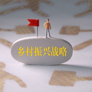 “費孝通田野調查獎”特別主題：春節(jié)返鄉(xiāng)調查