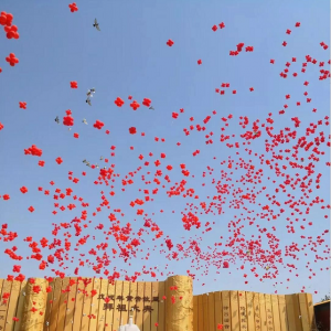 劉久源應邀回國出席在黃帝故里隆重舉行的拜祖大典