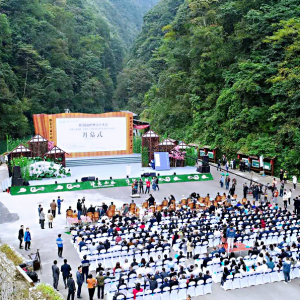 第38屆世界詩人大會(huì)在綏陽開幕