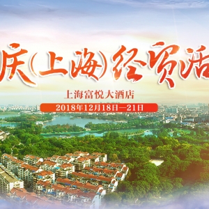 黃梅之鄉——安慶：走進上海，加強與長三角地區政企合作交流，促進安慶經濟高質量發展