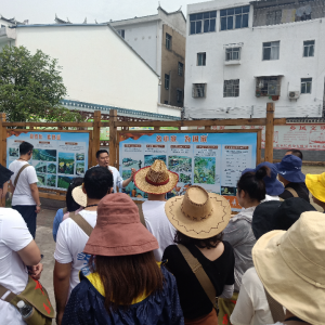 新疆博州年輕干部培訓(xùn)班赴湖北宜昌市許家沖村開展黨性教育活動(dòng)