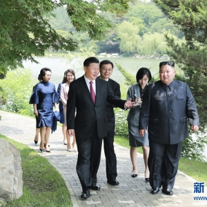 習近平會見朝鮮勞動黨委員長、國務委員會委員長金正恩