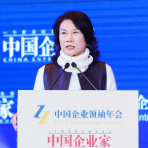董明珠回應實名舉報奧克斯：不是要把它整死，我希望它改邪歸正
