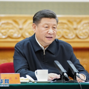 黨中央的決心有多大？看習近平這10段話！