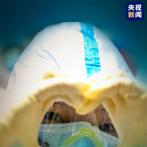 上海援鄂英雄凱旋，奚美娟朗誦《若我歸來》，我們在上海等你們回家！