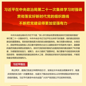 習近平在中央政治局第二十一次集體學習時強調 貫徹落實好新時代黨的組織路線 不斷把黨建設得更加堅強有力