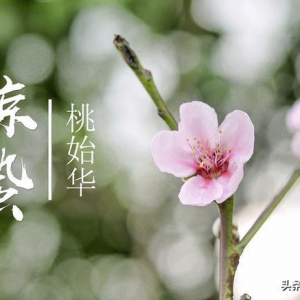 驚蟄前后釣魚，掌握這3個規(guī)律，下竿就能中魚